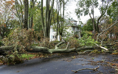 Steps To Take Immediately After Storm Damage