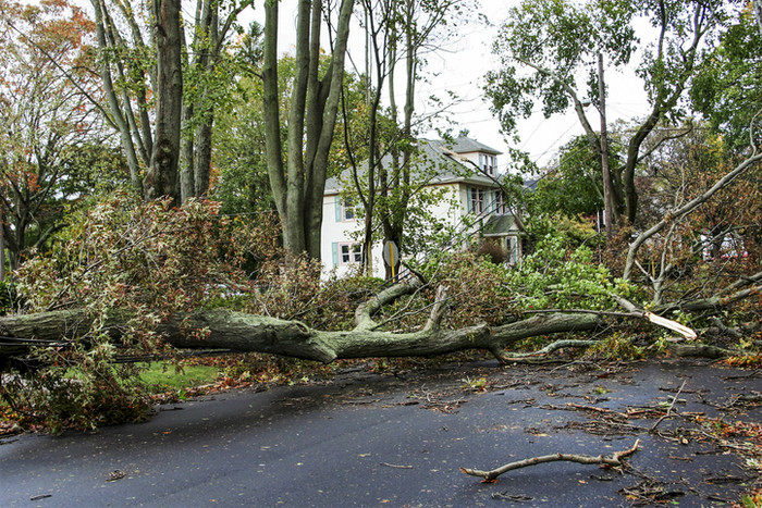 Steps To Take Immediately After Storm Damage